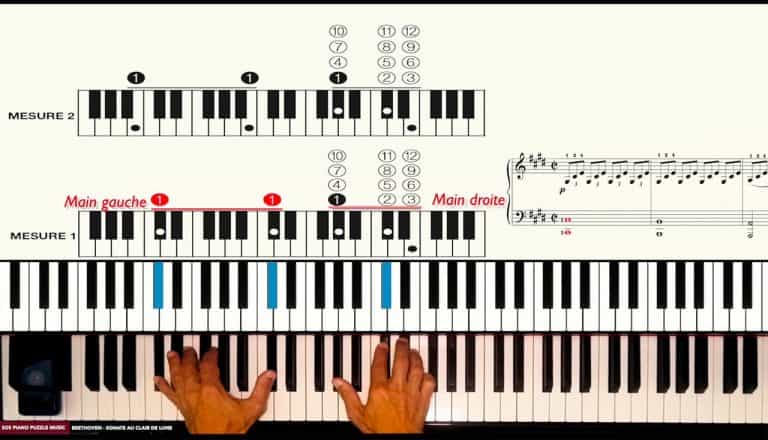 Indication main gauche & droite sur le diagramme
