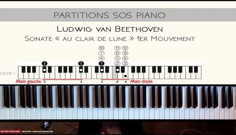 Indication main gauche & droite sur le diagramme