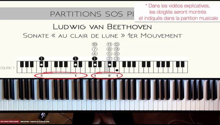 Indication de doigtés sur le diagramme Puzzle Music©